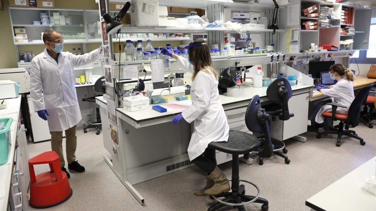 Ayudantes de investigación