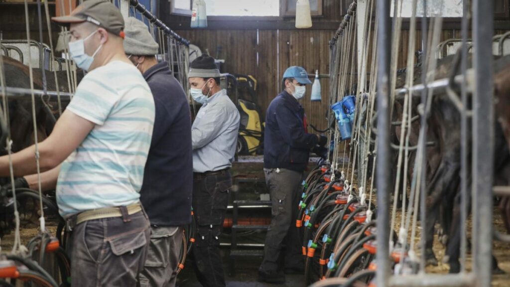 Jóvenes agricultores