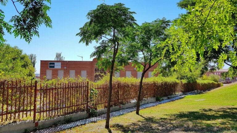 universitario