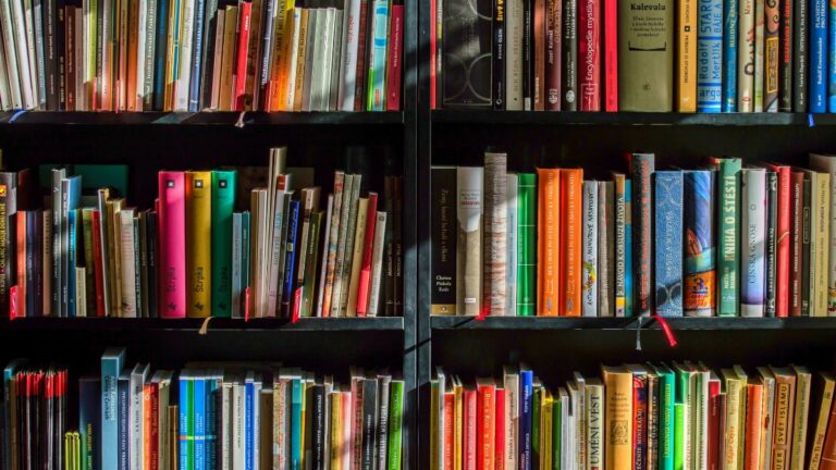 bibliotecas Alcorcón