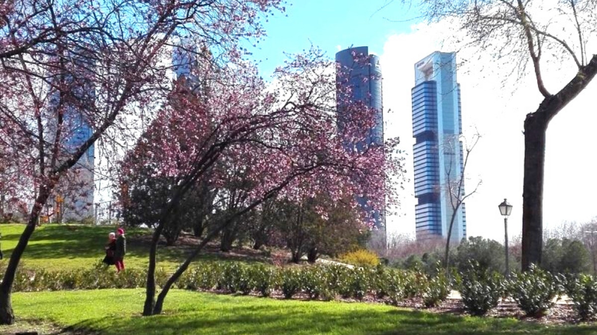 Parque Norte