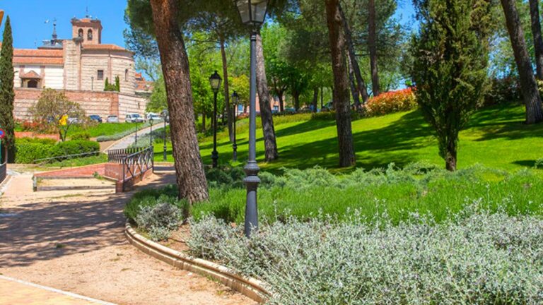 importe económico licitación limpieza zonas verdes Boadilla