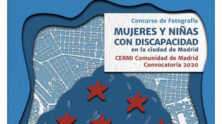 CERMI