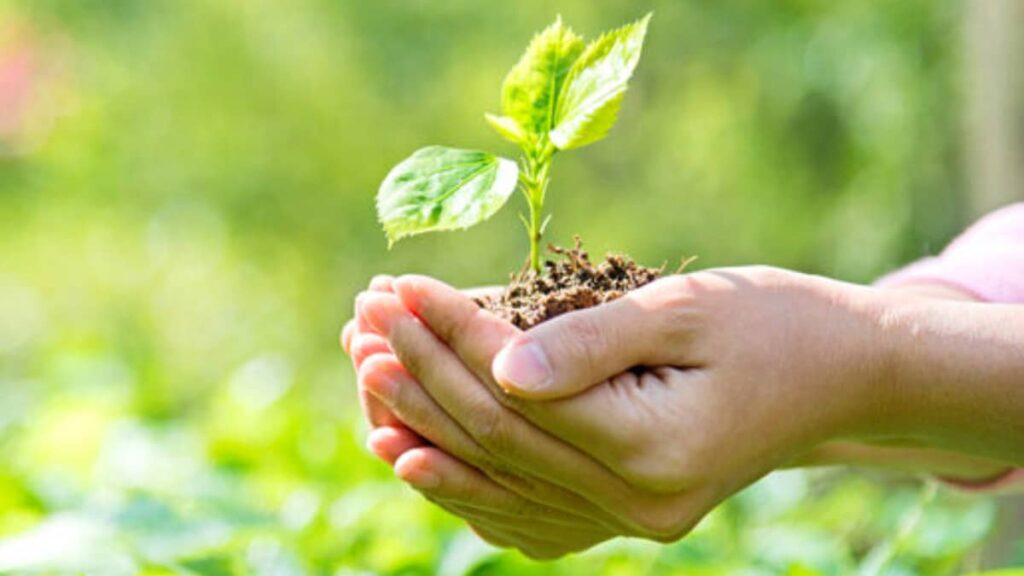 Aula Medioambiental Boadilla
