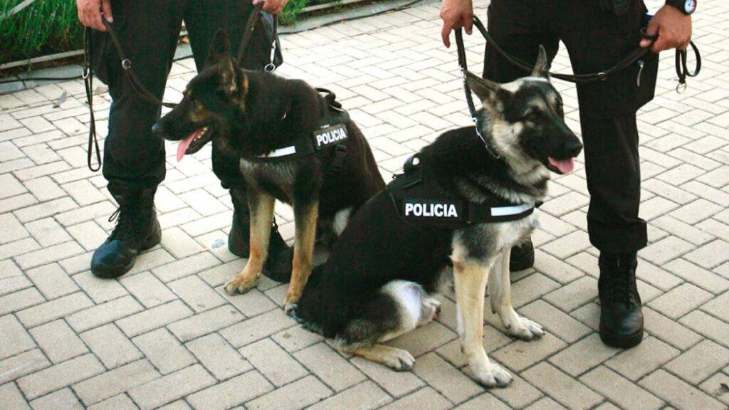 Unidad Canina Leganés