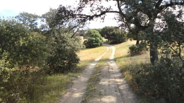 caminos públicos Majadahonda