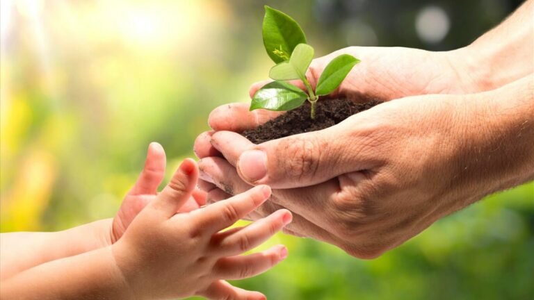 Aula medioambiental Pozuelo