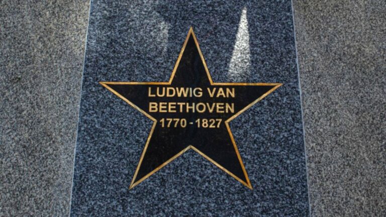 Bethoven Estrella Pozuelo