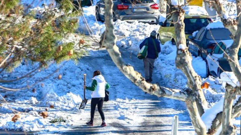 Pozuelo voluntarios nieve