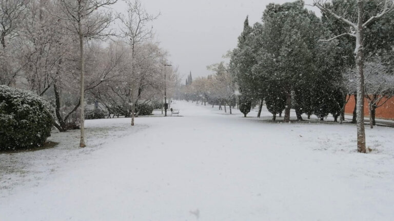 Rivas temporal cierre