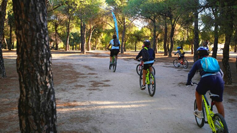 Escuelas Deportivas Las Rozas