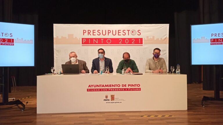 presupuestos pinto