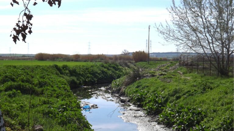 Arroyo Humanejos
