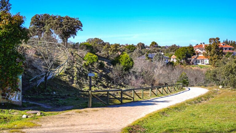 Majalacabra Las Rozas