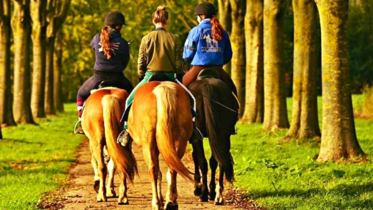 chicas montando a caballo