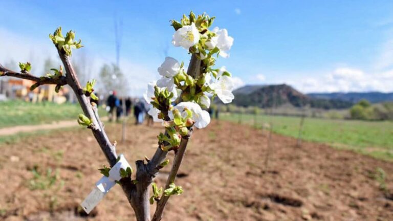 alcalá bosque comestible