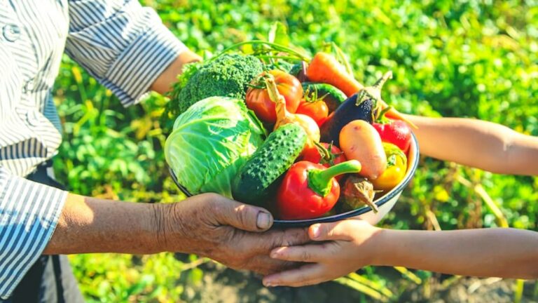 Feria Agroecológica de Fuenlabrada