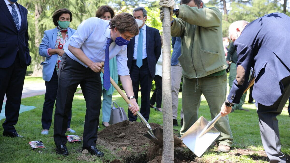 Los madrileños podrán plantar un árbol con la campaña 'Re-Planta Madrid'