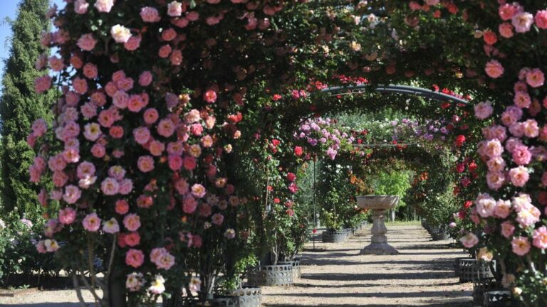 real jardín botánico
