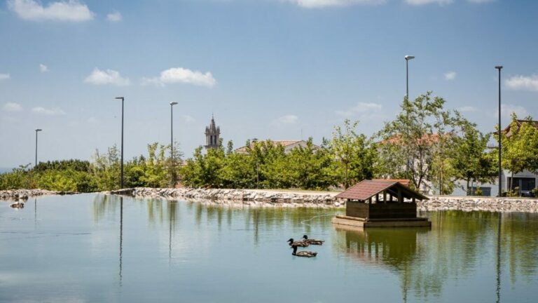 parque colmenar