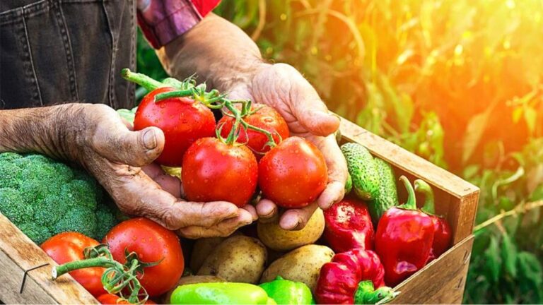 Feria Agroecológica de Fuenlabrada