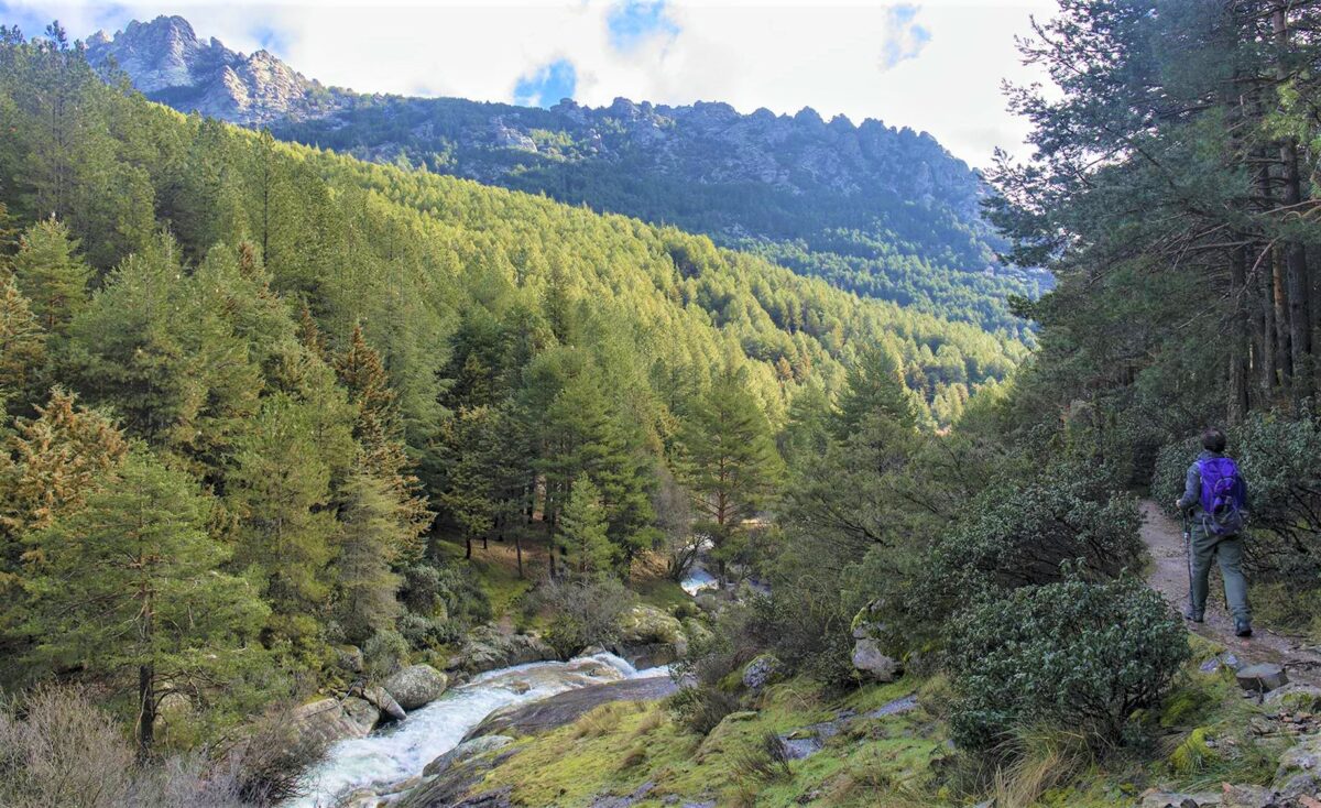 Concurso de Fotografía del Parque Nacional de la Sierra de Guadarrama