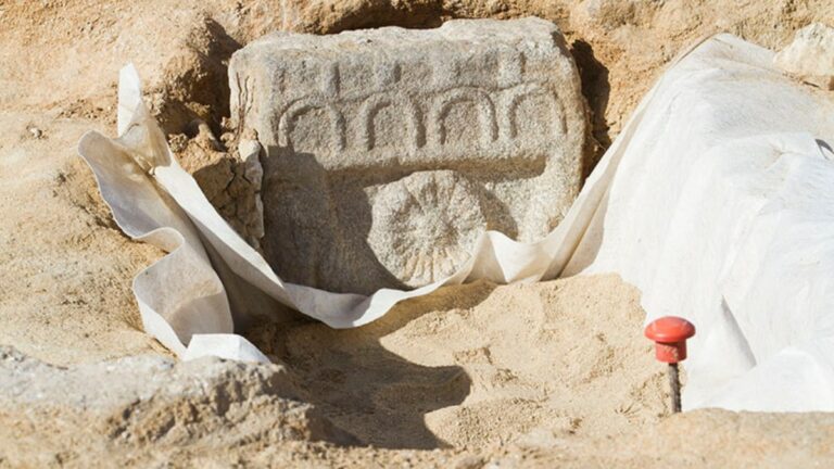 Boadilla excavación