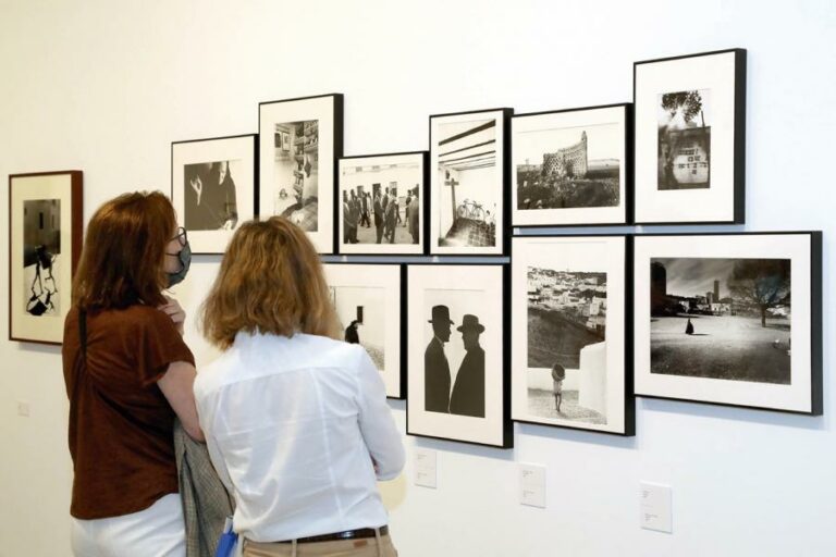 exposiciones alcobendas
