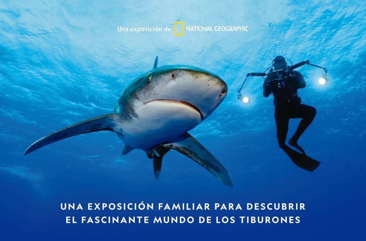 planes fin de semana julio