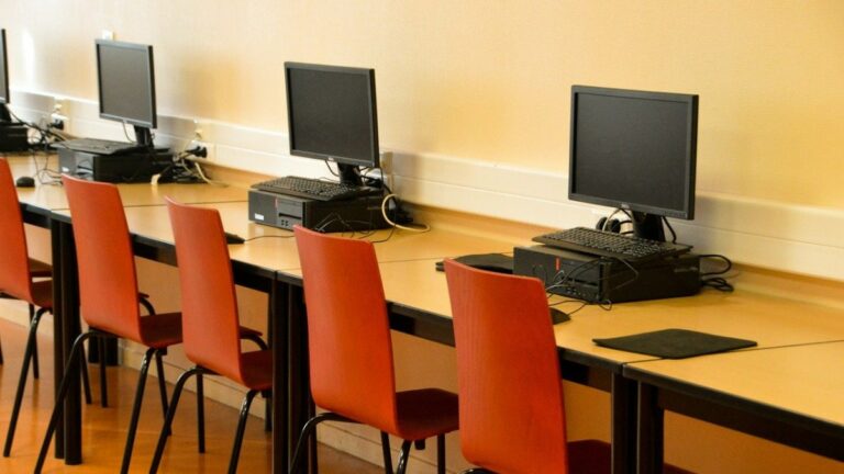 Boadilla cursos