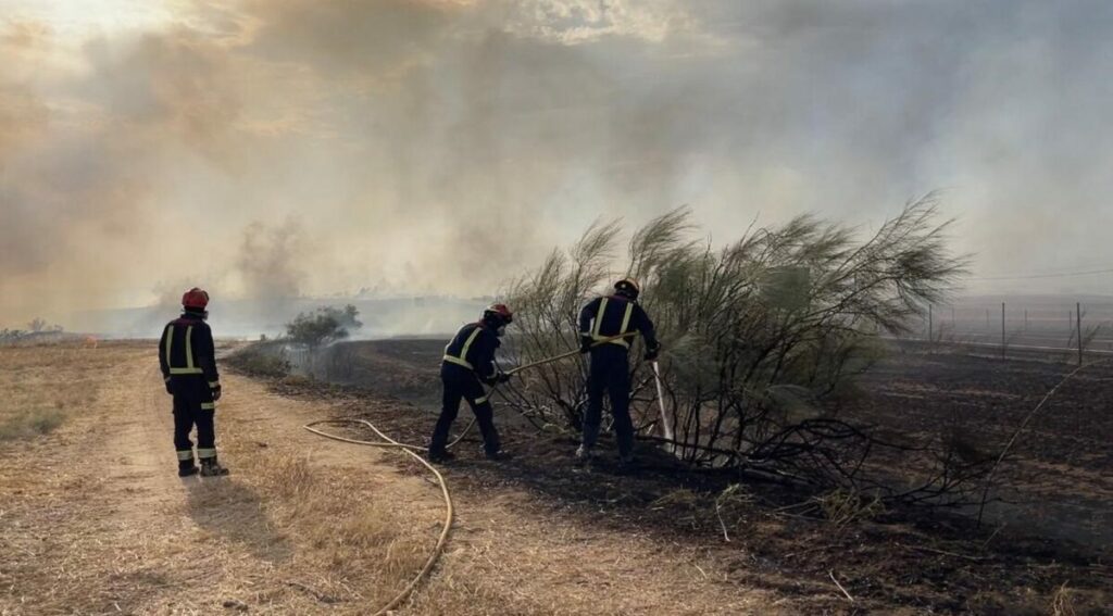 incendio batres
