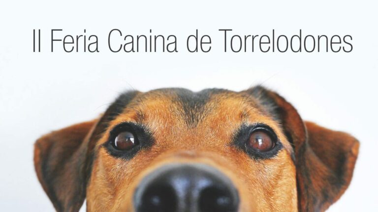Feria Canina Torrelodones