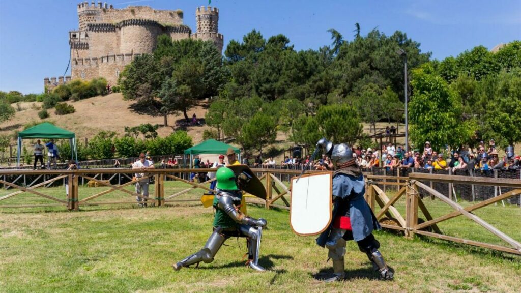 castillo Manzanares