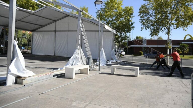carpa joven boadilla