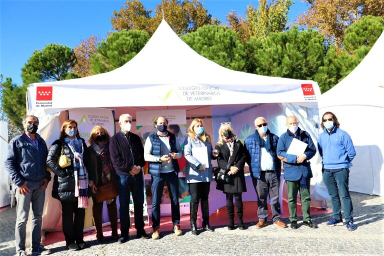 Salón para la Adopción de Animales de Compañía