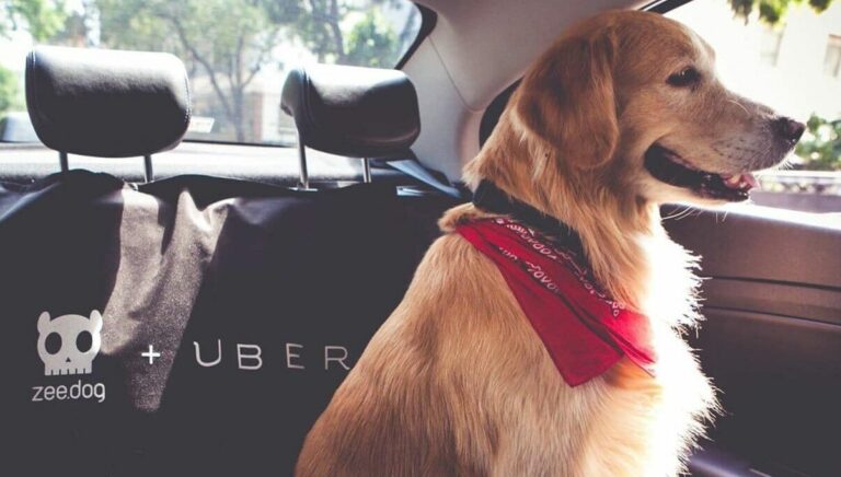 Uber mascotas
