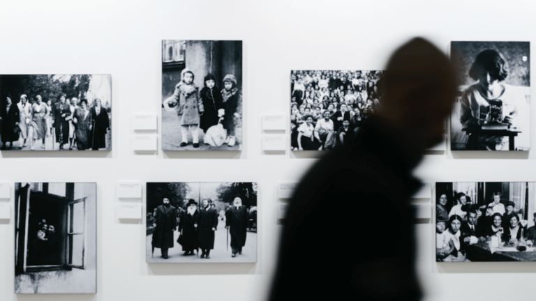 seeing auschwitz
