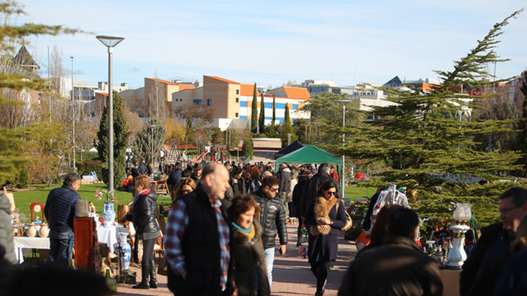 las rozas mercadillo