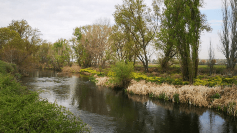 getafe río