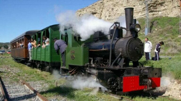 el tren de arganda