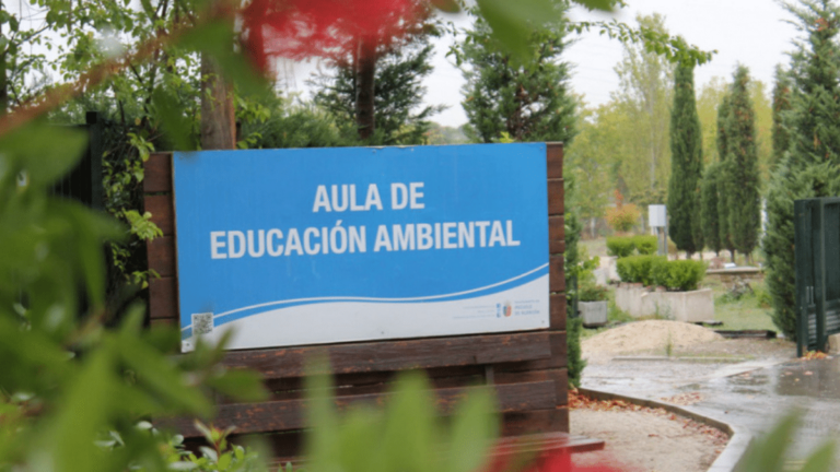 Pozuelo actividades