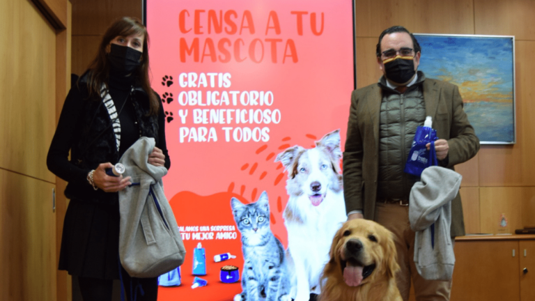 Boadilla peros gatos