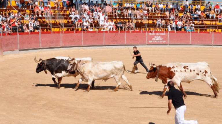 Fiestas Patronales San Fernando