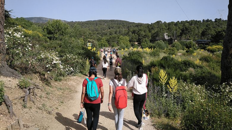 jóvenes las rozas