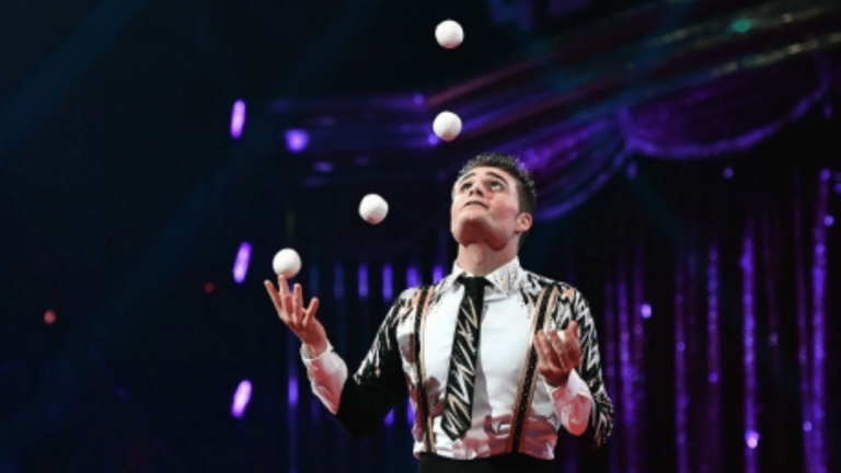 Pinto Día Mundial del Circo