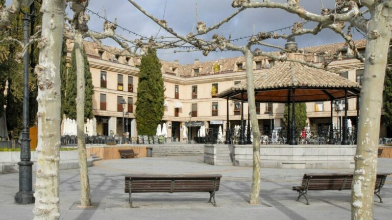 las rozas ayudas alquiler