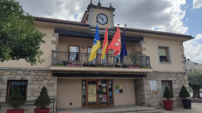 torrelodones ayudas