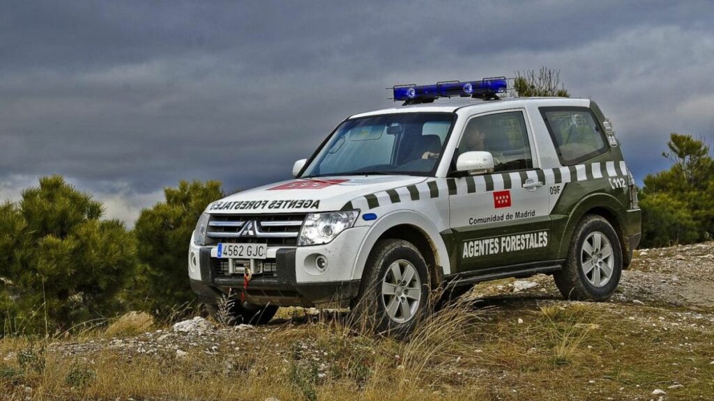 agentes forestales hombre detenido incendios pinilla del valle