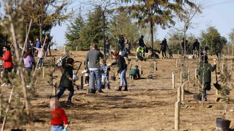 Pozuelo Somosaguas Norte