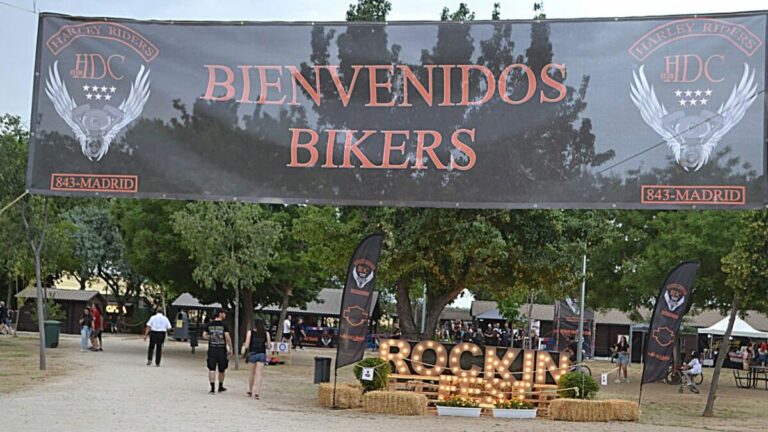 rockin' fest